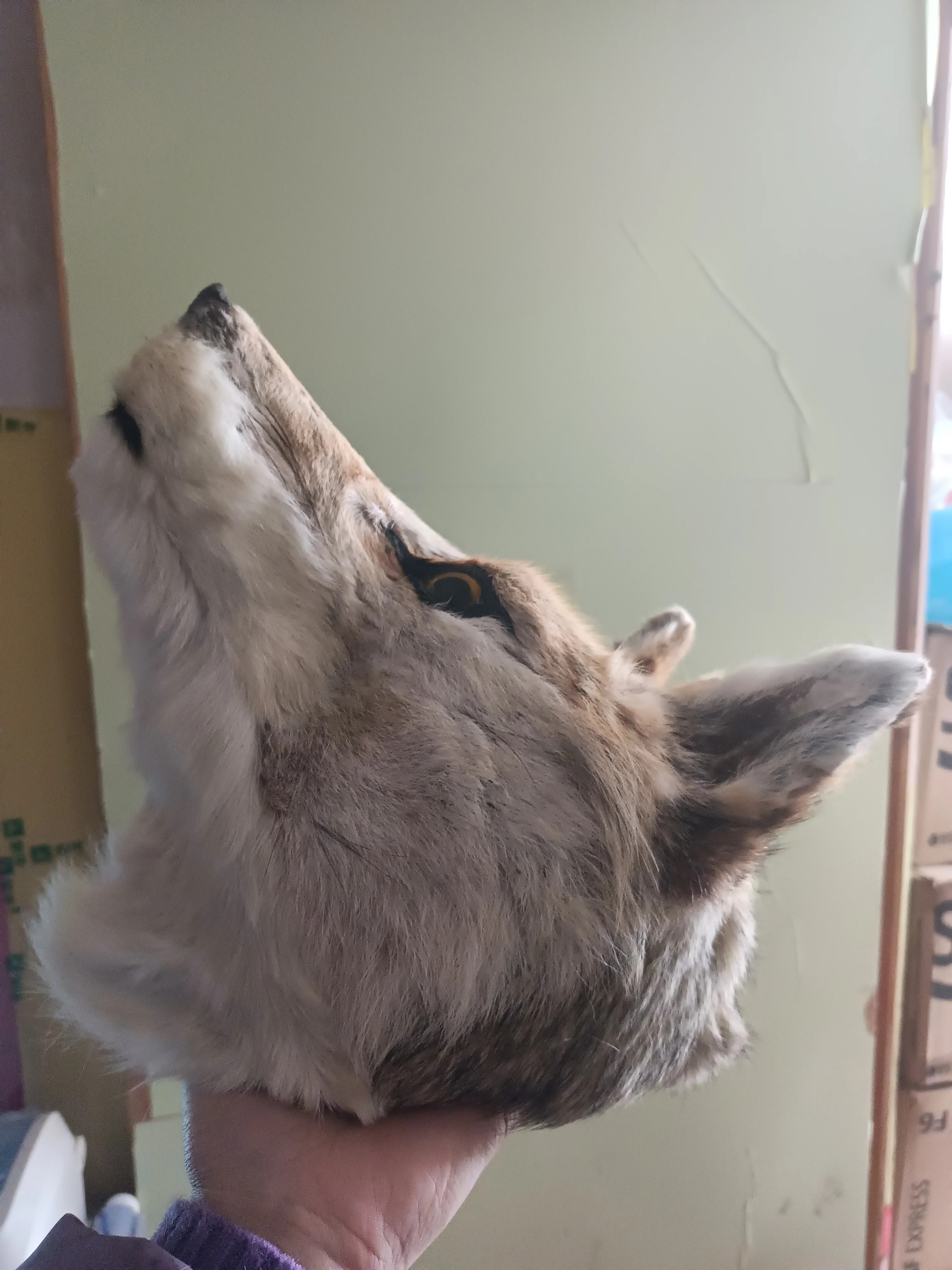 big simulation polyethylene&furs wolf head model wall pendant gift 30cm xf951