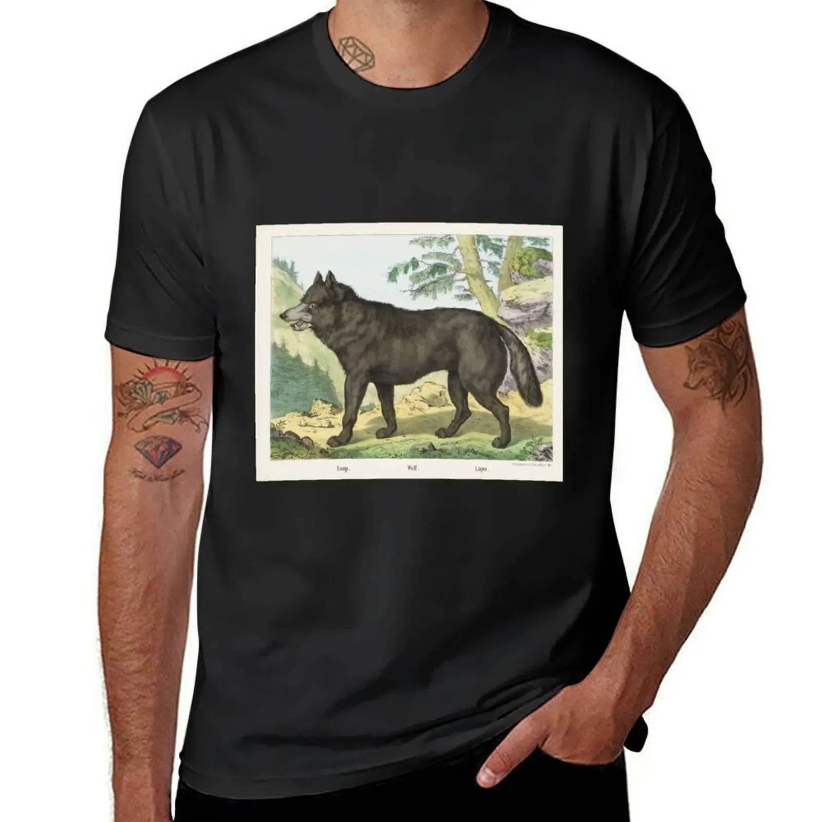 Vintage Wolf Illustration, 1800s T-Shirt Blouse sublime mens t shirts casual stylish