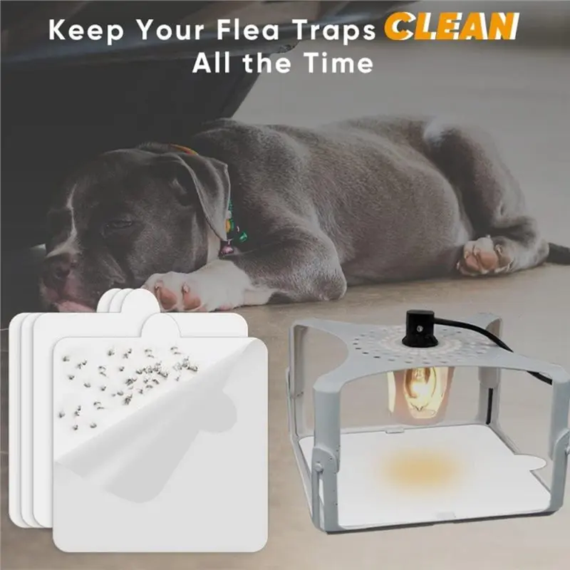 Recambio de trampa para pulgas AB46 - 30 placas adhesivas de 6 pulgadas para trampas de luz interiores Terro T230 T231, almohadillas adhesivas de repuesto resistentes.