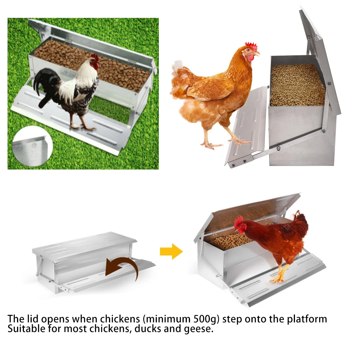 8.2L Automatic Aluminium Chicken Treadle Feeder Self Opening