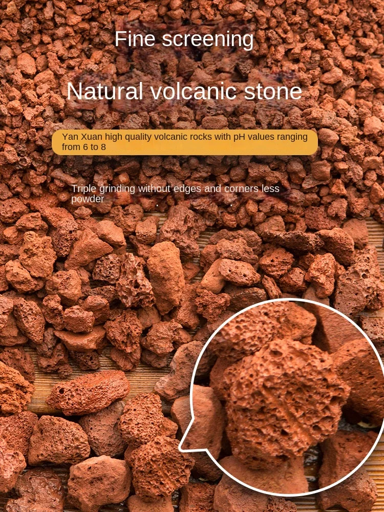 High Quality Firestone Special Soil Succulent Household Plant Material Breathable Volcanic Decor Aquarium Fish Tank Decoration
