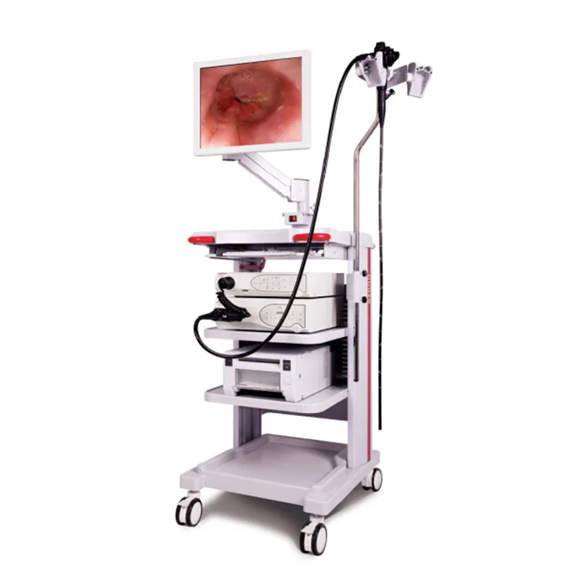 Medical Portable Ent Usb 4K Endoscopic Camera Unit Gynecological Endoscope Camera System With Light Source