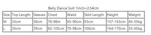 Belly Dance Professional Costume Set Mesh Half Sleeves Top+split Long Skirt 2pcs Female Oriental Dance Wear Belly Dance Suits