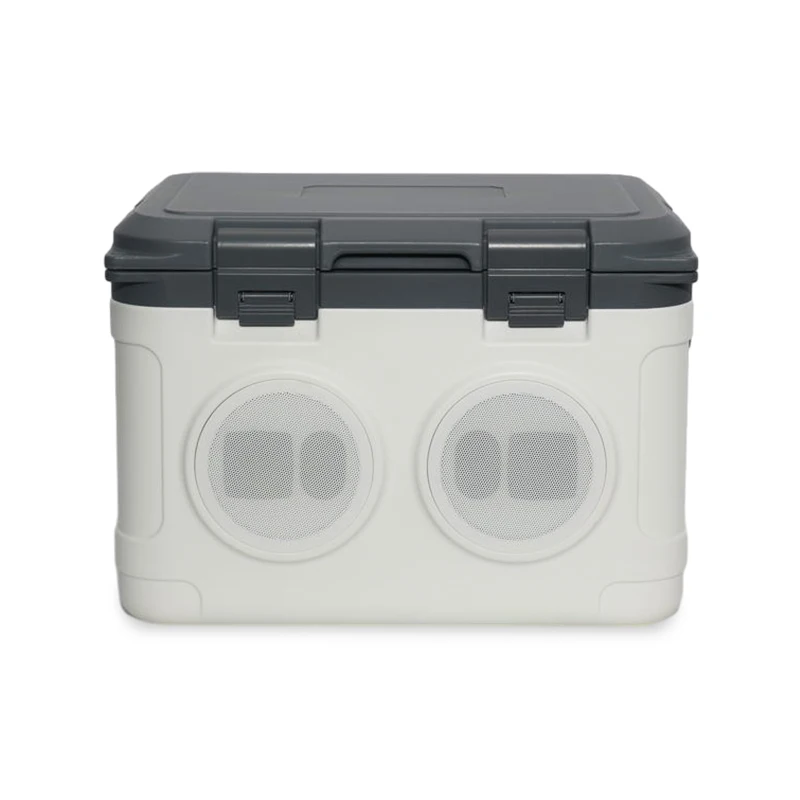 Glaciere Nourriture Caja refrigeradora dura grande personalizada de 21 litros con altavoz Bluetooth