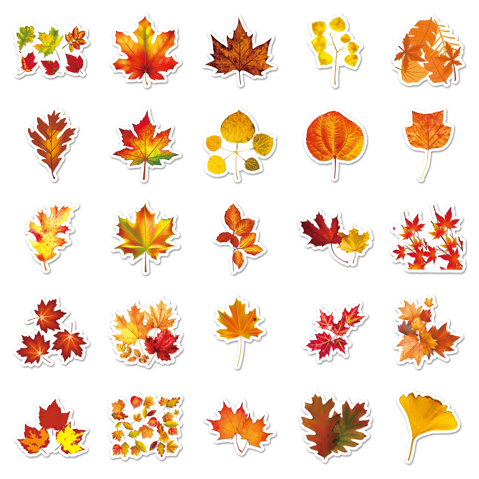 50 Stuks Herfst Bladeren Serie Graffiti Stickers Geschikt Voor Laptop Helmen Desktop Decoratie Diy Stickers Speelgoed Groothandel