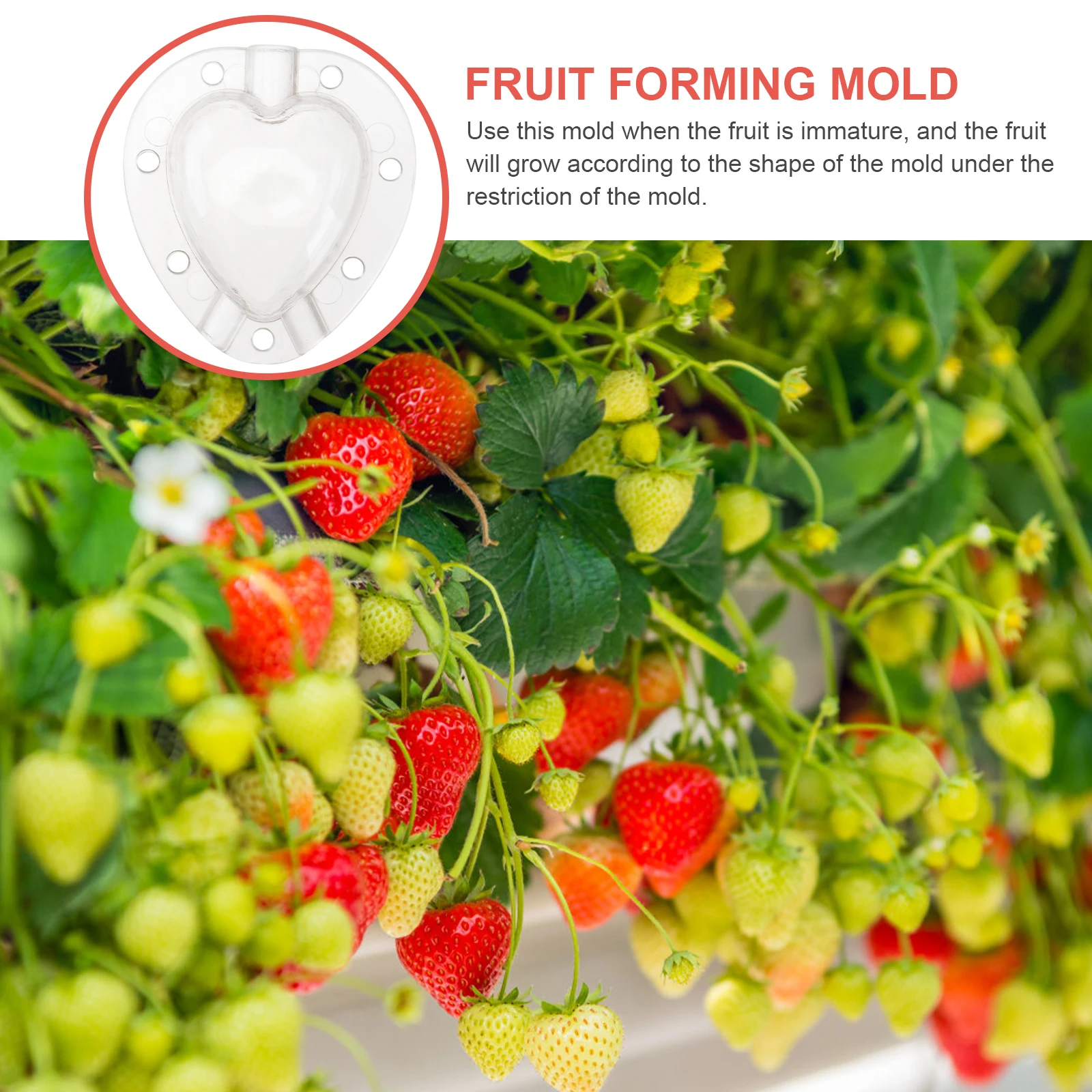 

5pcs Heart Shaped Fruit Mold Transparent Safe Vegetable Growth Tool Garden Shaping Supplies Easy Use High Strength Not