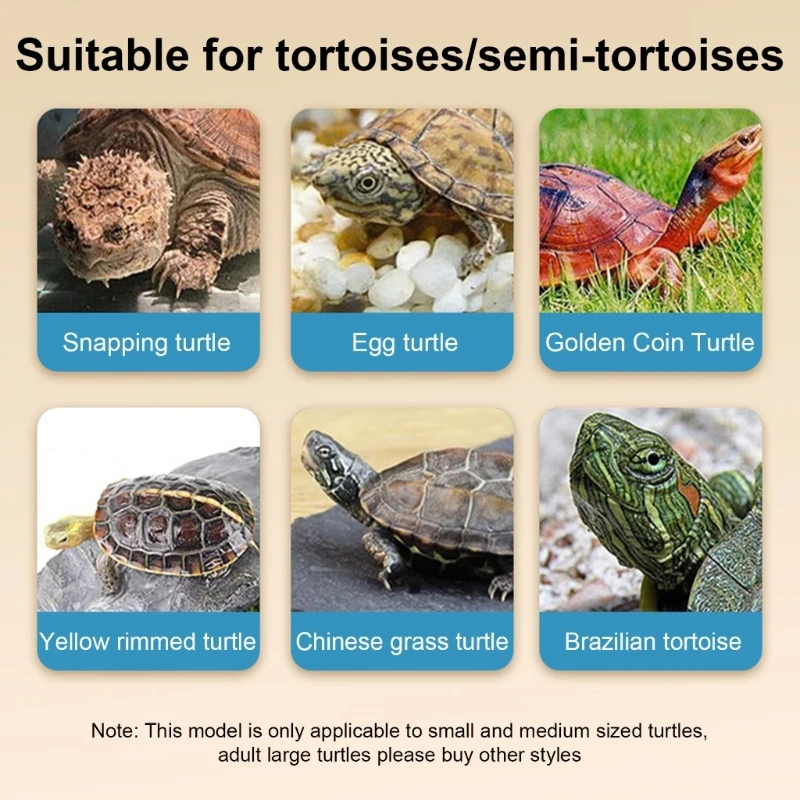 Turtles Tanks for Pet Turtles Reptiles MultiFunctional Box Bottom Drainage Plug Drop Shipping