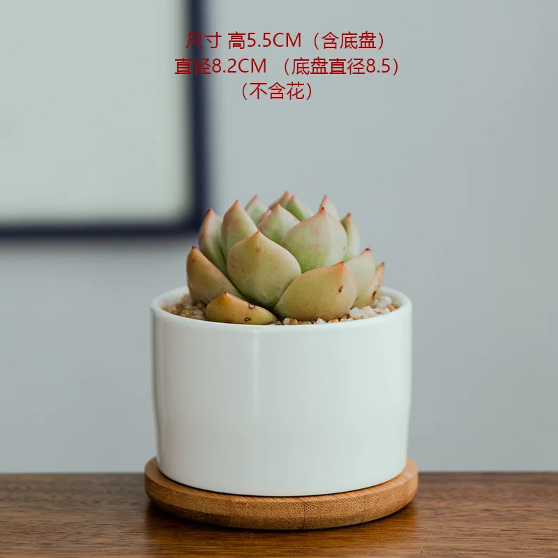 Succulent White Porcelain Flower Pot Simple White Indoor Potted Succulent Flower Pot Ceramic Flower Pot