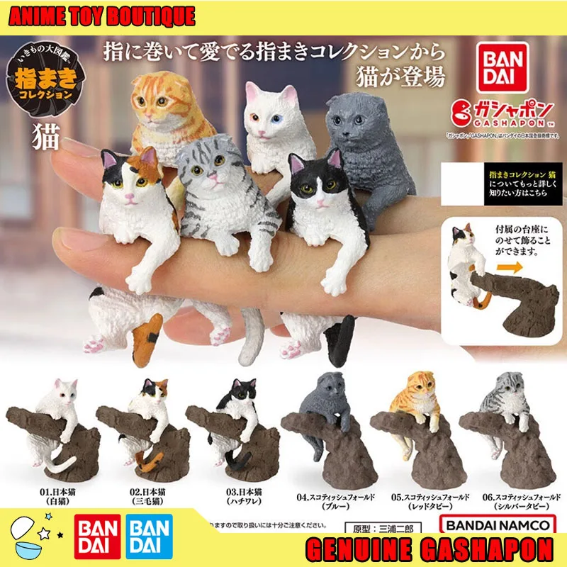 

Bandai Genuine Biological Encyclopedia Figures Model Calico Cat Gashapon Ball Original Ornaments Fingertip Simulation Cat Model