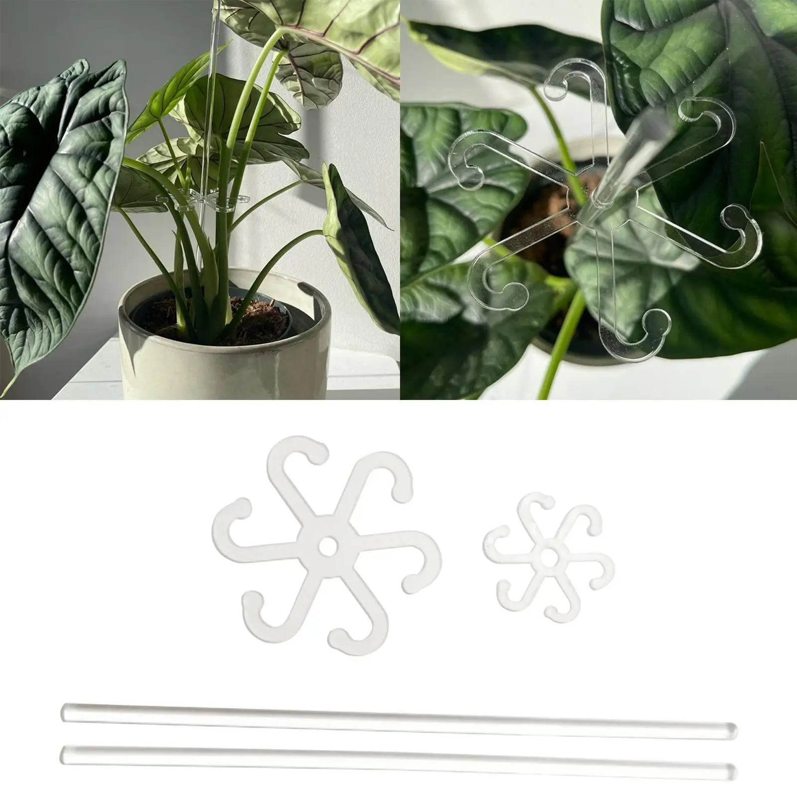 2x pali di supporto per piante bastoncini di supporto per piante per giardino interno ed esterno