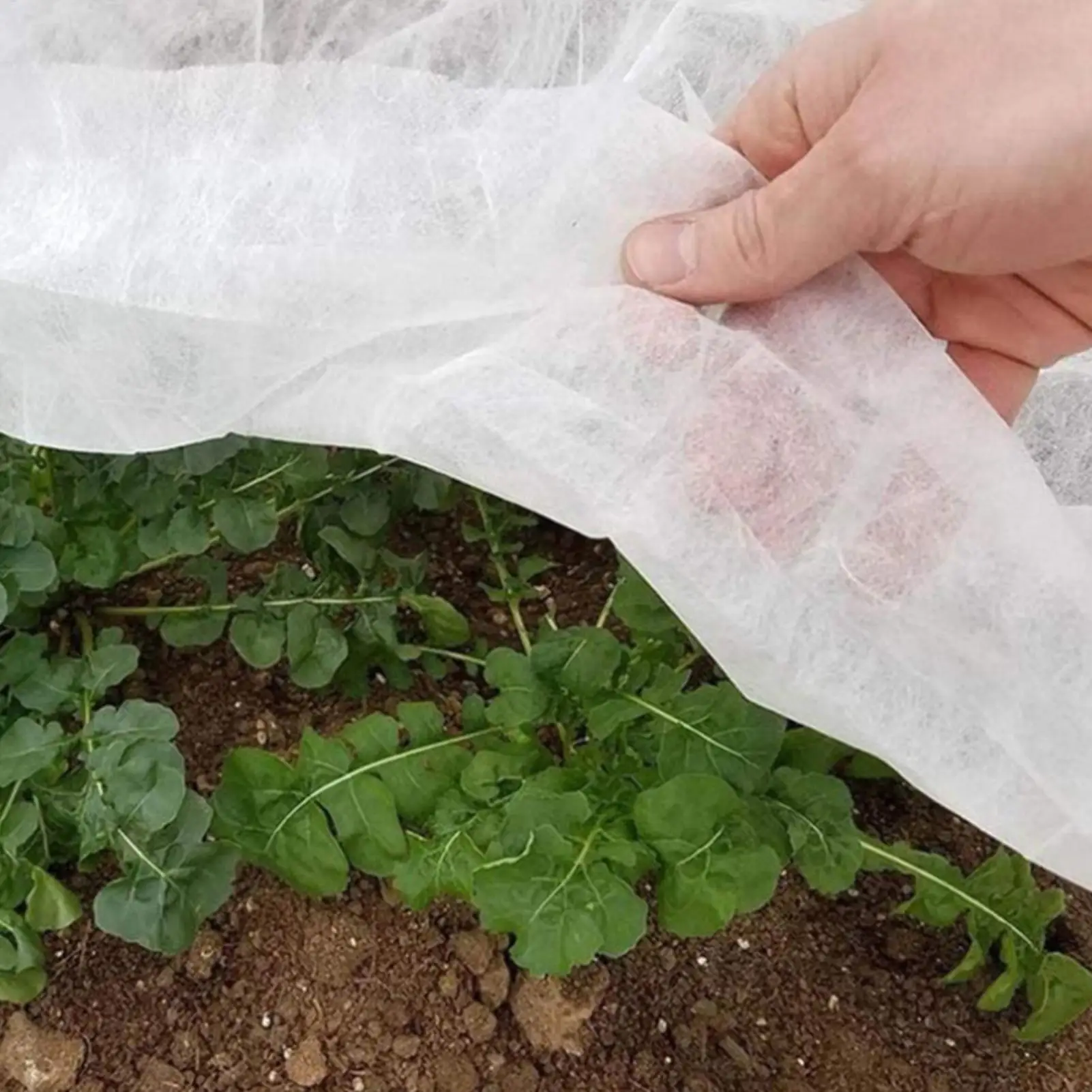 

Frost Blankets For Outdoor Plants Floating Row Covers For Garden Beds Sun Protection Breathable Cloth For Cold Weather Vegetable