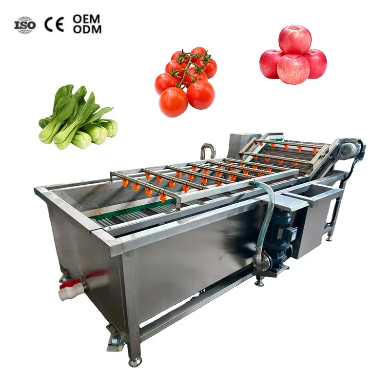 Orange Lemon Vegetable Conveyor Belt Provided Automatic Fruit Washer Air Bubble Water Washing Machine CE Certification Custom