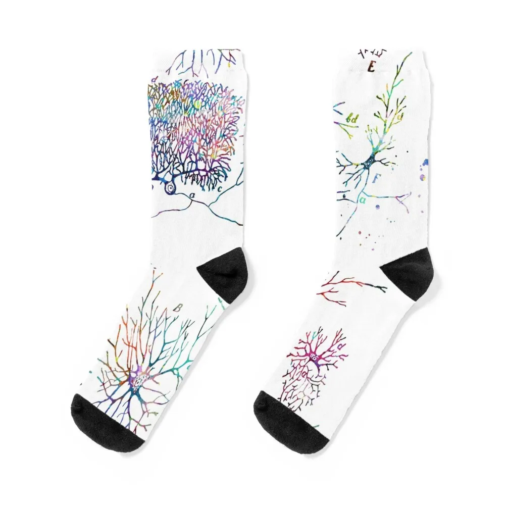 Human Nerve Cell Types Anatomy Socks short Run Men's Socks Woman Men's