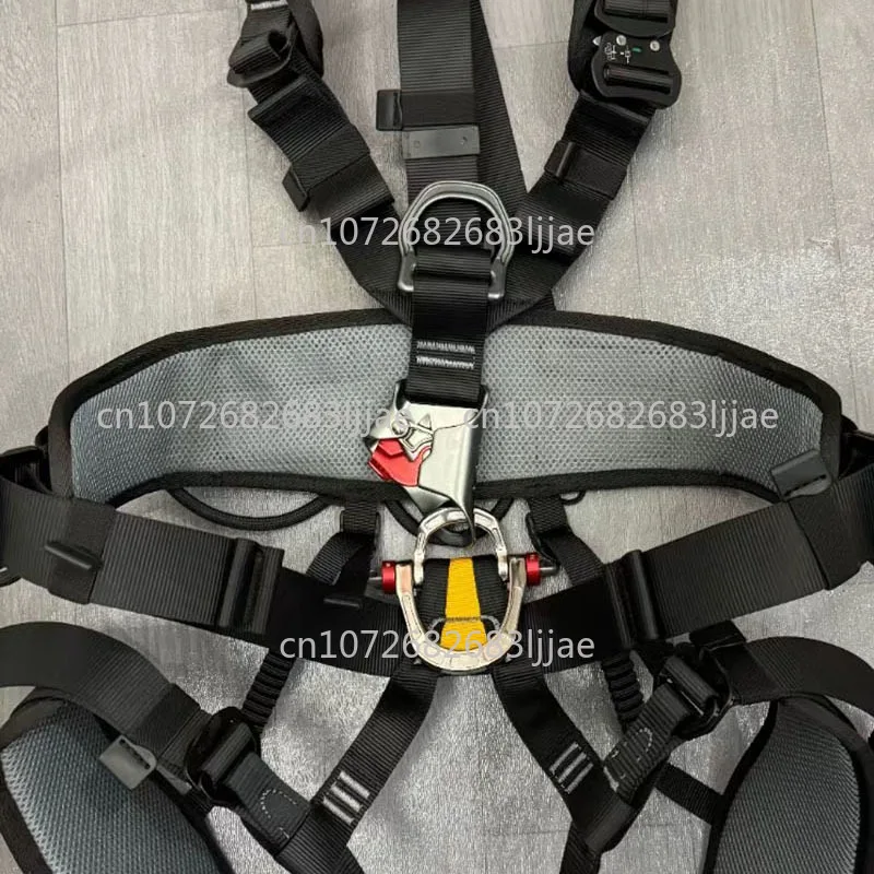 Portable Five-Point Safety Belt Size D Ring Double Load-Bearing Non-Climbing