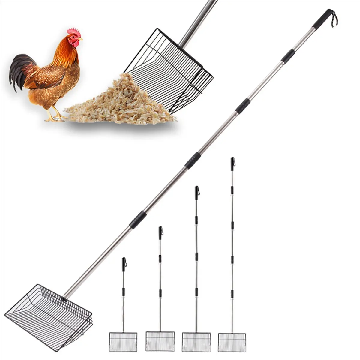10inch Large Chicken Poop Scooper, 24 to 68in Long Chicken Coop Litter Scoop with Stainless Steel Handle, Sifting Shovel &LICG