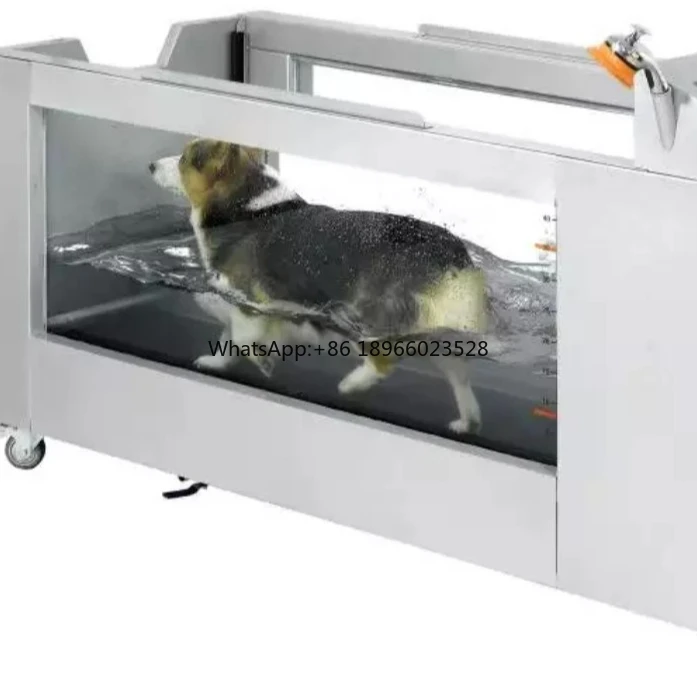 Electrical pet hydrotherapy underwater training heating treadmill for dogs