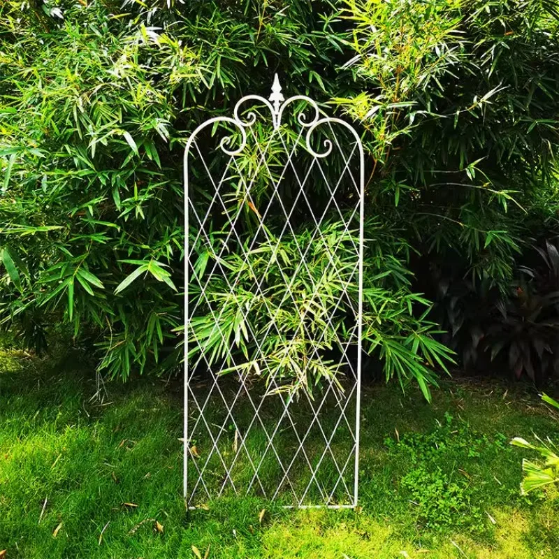 

Furniture for small-sized apartments American Clematis and Roses: European Outdoor Garden Climbing Vine Support