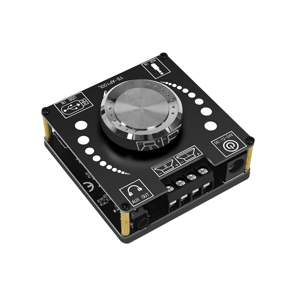 YS-AP100L Scheda amplificatore digitale Bluetooth 100W + 100W Scheda amplificatore stereo a doppio canale Scheda amplificatore + Adattatore DC