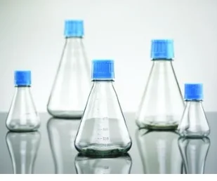 

Baffled Erlenmeyer Flask 3 Spikes 4 Spikes Shaking Bottle for Bacterial Culture Lab Use