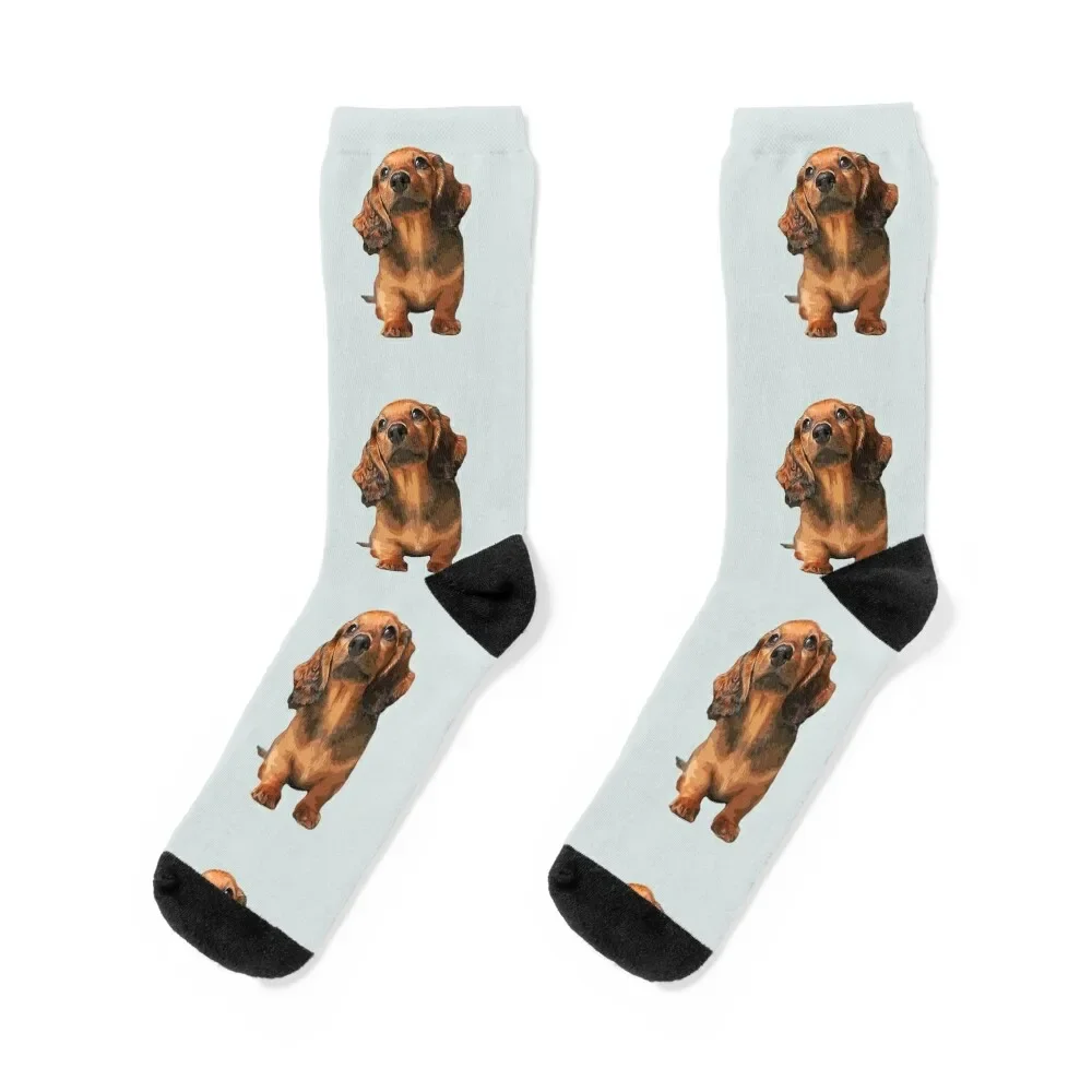 Mini Dachshund Long Haired Shaded Red Puppy Dog Socks Sports crazy Man Socks Women's