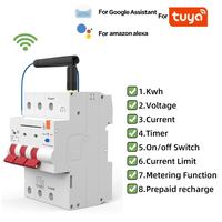 WiFi Smart Circuit Breaker 1/2P 63A  Overload Short Circuit Protection For Tuya Smart Circuit Breaker With Metering For Tuya