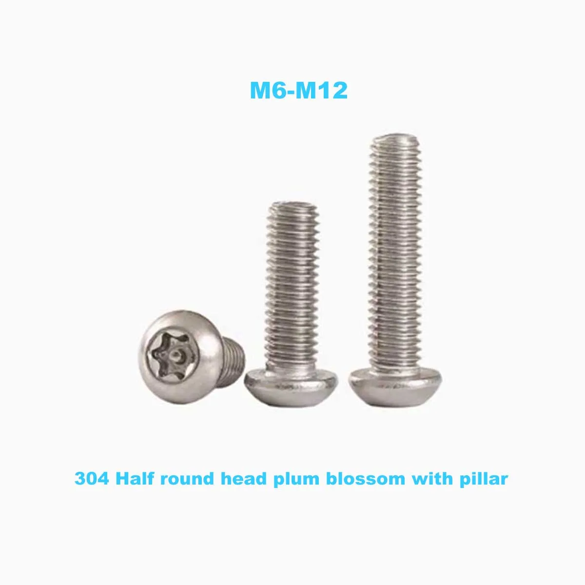 

304 Stainless Steel Anti-Theft Screw/Half Round Head Plum Blossom Column With Needle And Core Bolt M6M8M10M12