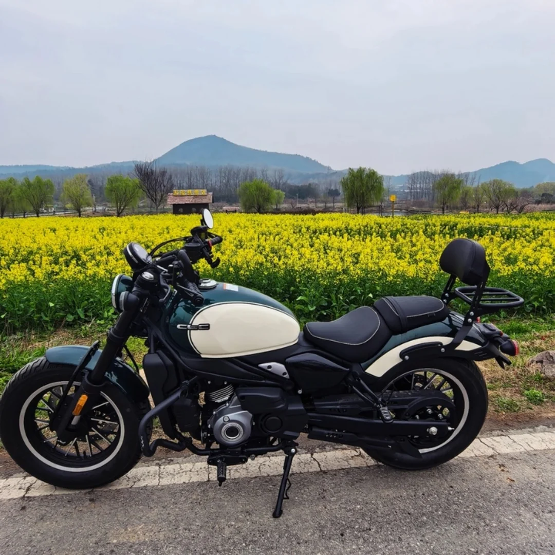 For the special modification accessories of CLC250 dedicated modified motorcycle, the rear seat backrest of the rear tail rack