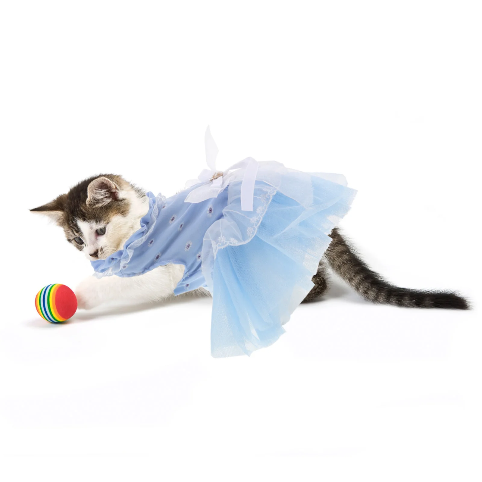 

Pet Tulle Skirt Butterfly Fairy Tutu Dress Small Dogs Cats Fancy Princess Puppy Holiday Party Dress Colorful Tutu for Dogs