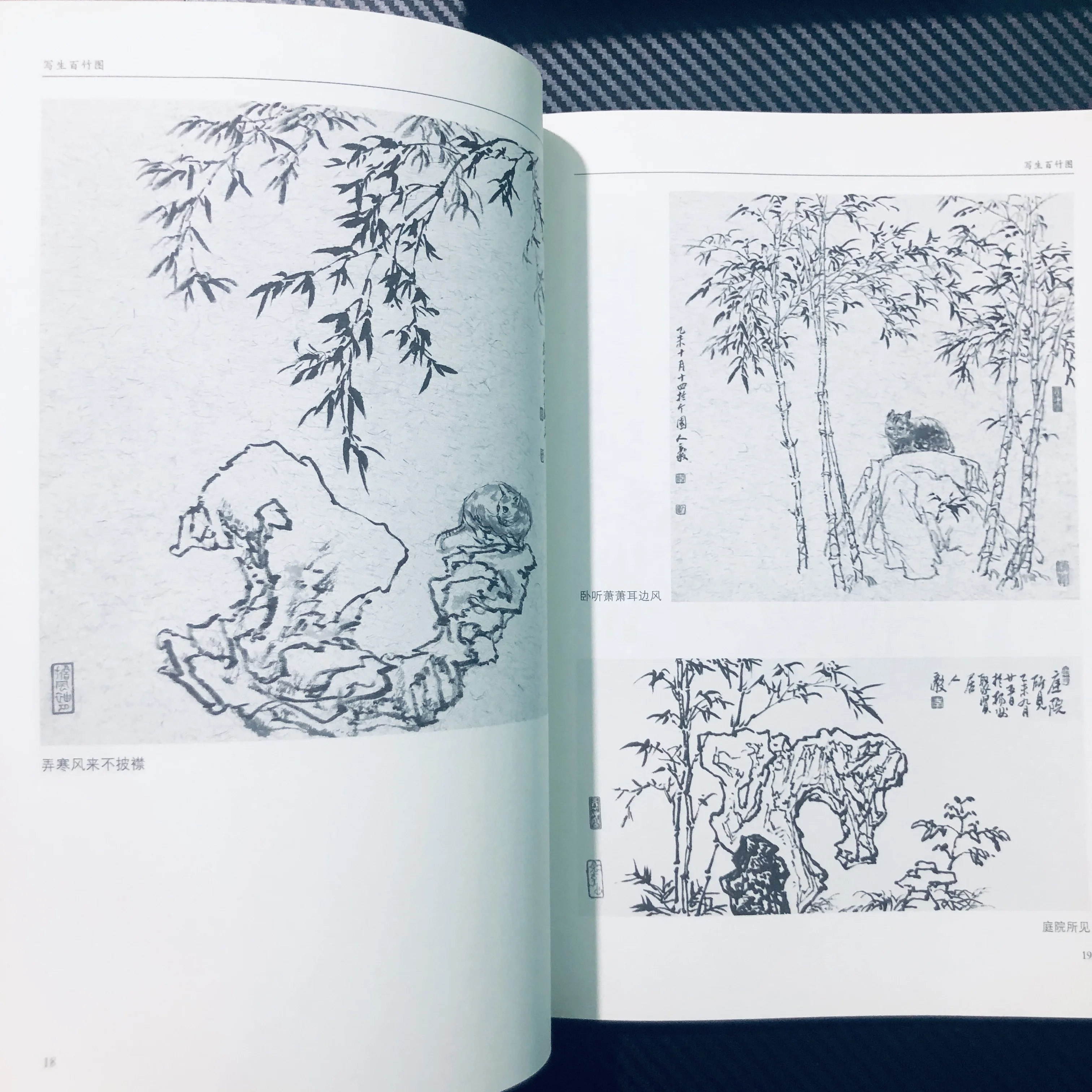 100 Bamboo Sketches: Botanical Drawing Techniques with Ink Wash & Composition Guide