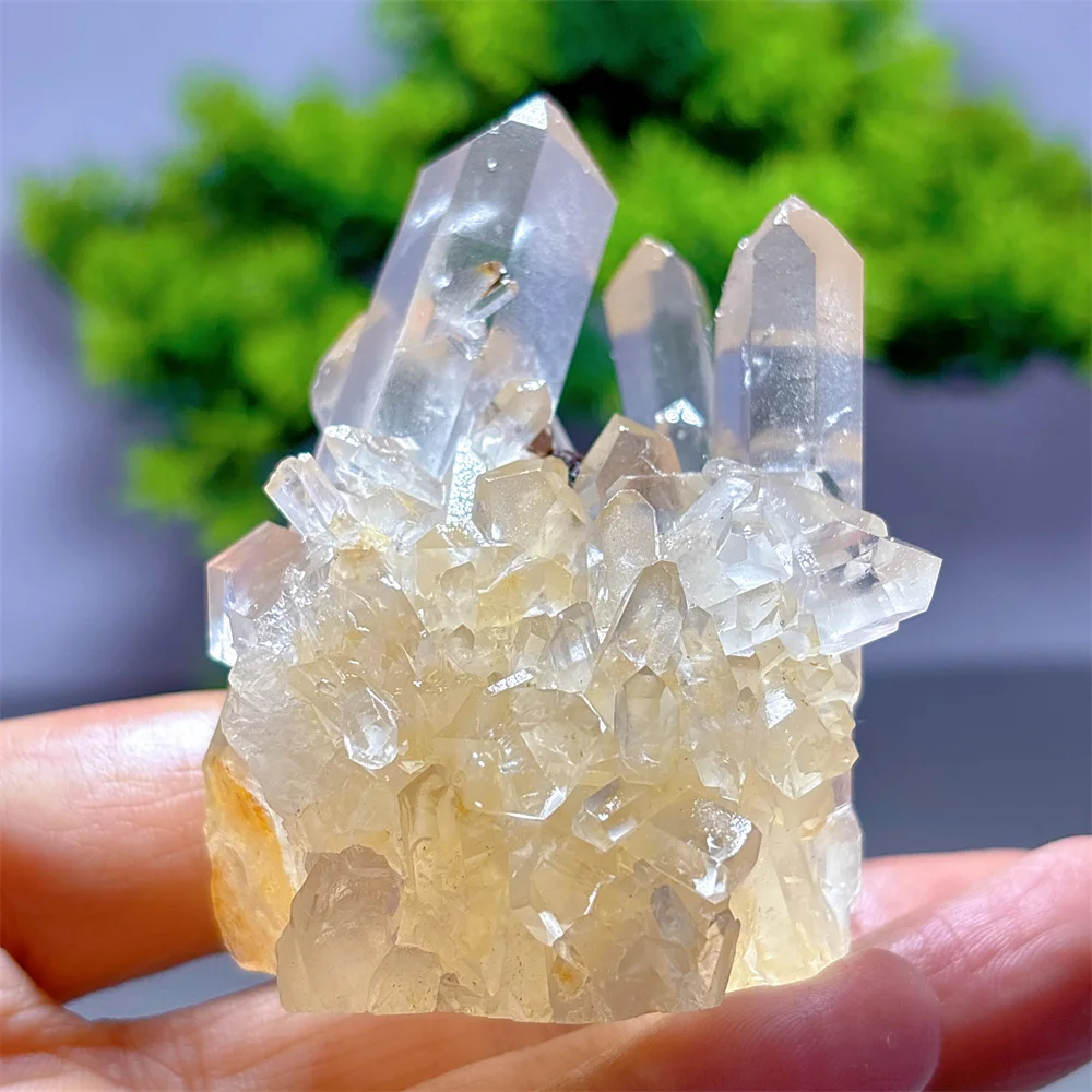 

Прозрачный кварцевый кластер, образец, необработанный натуральный кристалл, украшение для дома, декор комнаты, удача, кварцевый камень, сад, целебная энергия, подарки для любви