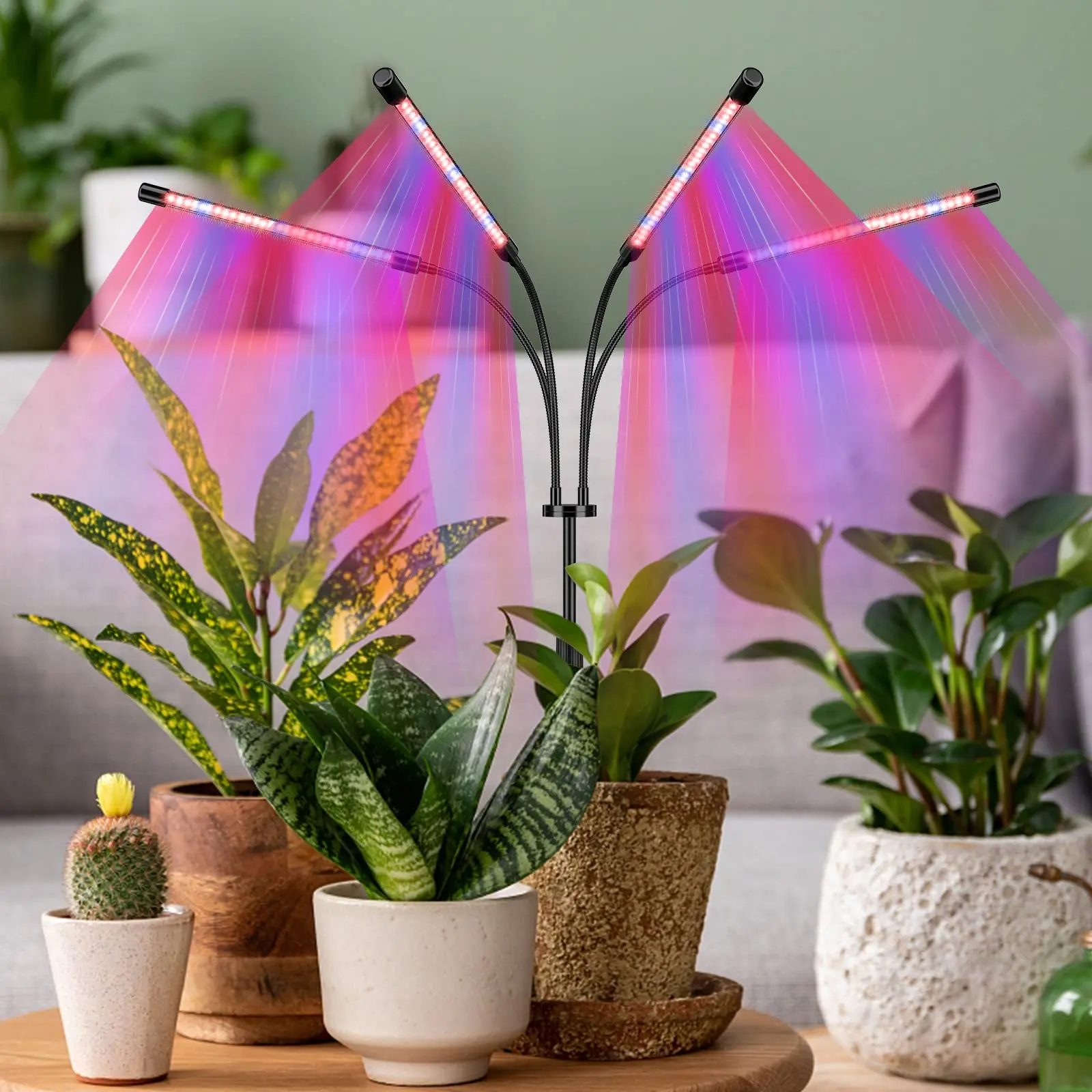 LED Desktop Stand Grow Light , Plant lights for Indoor Plants with Full Spectrum & Red White for Plant Growing Lamp