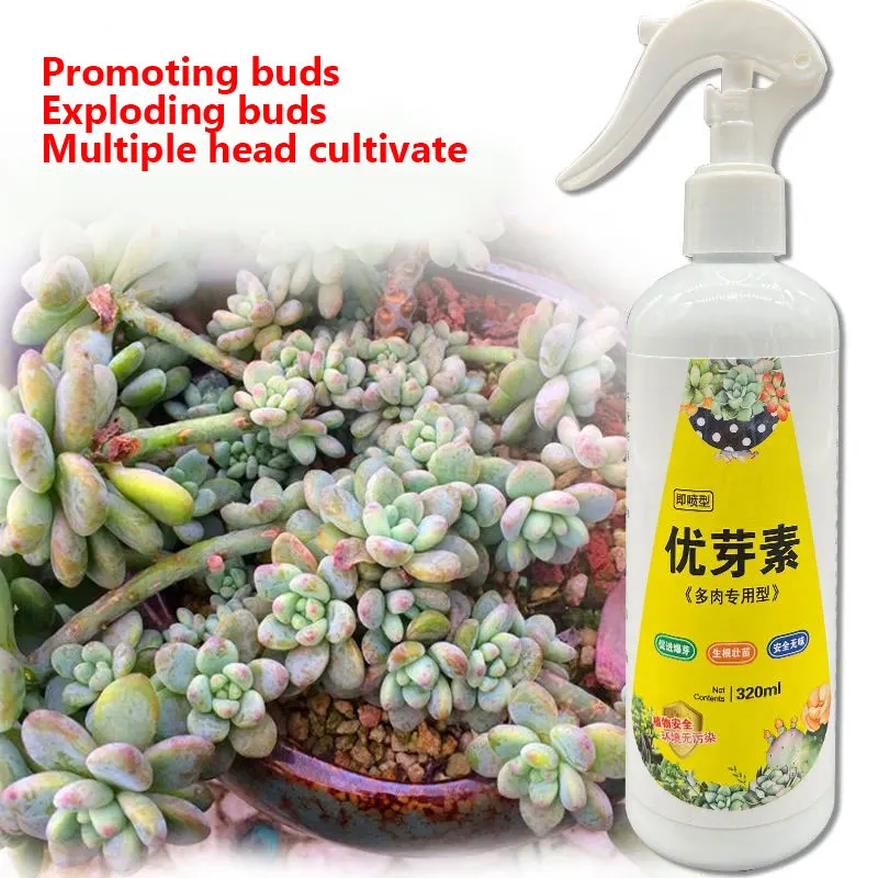 

Succulent Plant Eugenin Promotes Budding, Dwarf Fat, Prevents Leggy Organic Granules 320ml