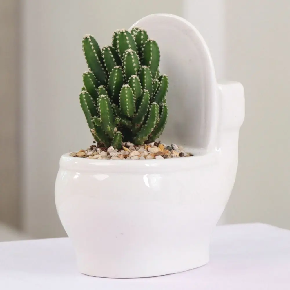 Ceramic Succulent Flowerpot Personality Cartoon Flower Vase Creative Hydroponic Flower Holder Birthday