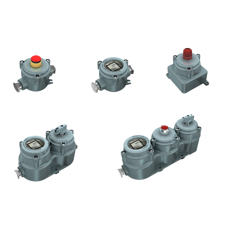 Zone 1 IP66 IECEX Explosion Proof Control Unit Pushbutton Indicator Currency Meter Optional Dual and Tripartite Systems