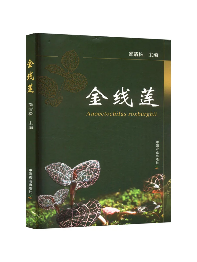 Book-Winshare Golden Thread Lily