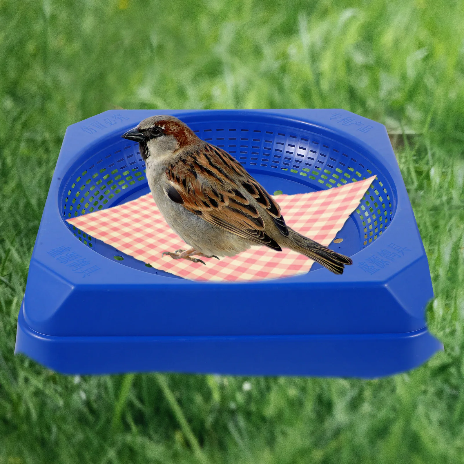 

2Pcs Large Square Plastic Pigeon Nest Breathable Design for Bird Egg Laying Breeding Hatching Nests Pigeons Bird Nests