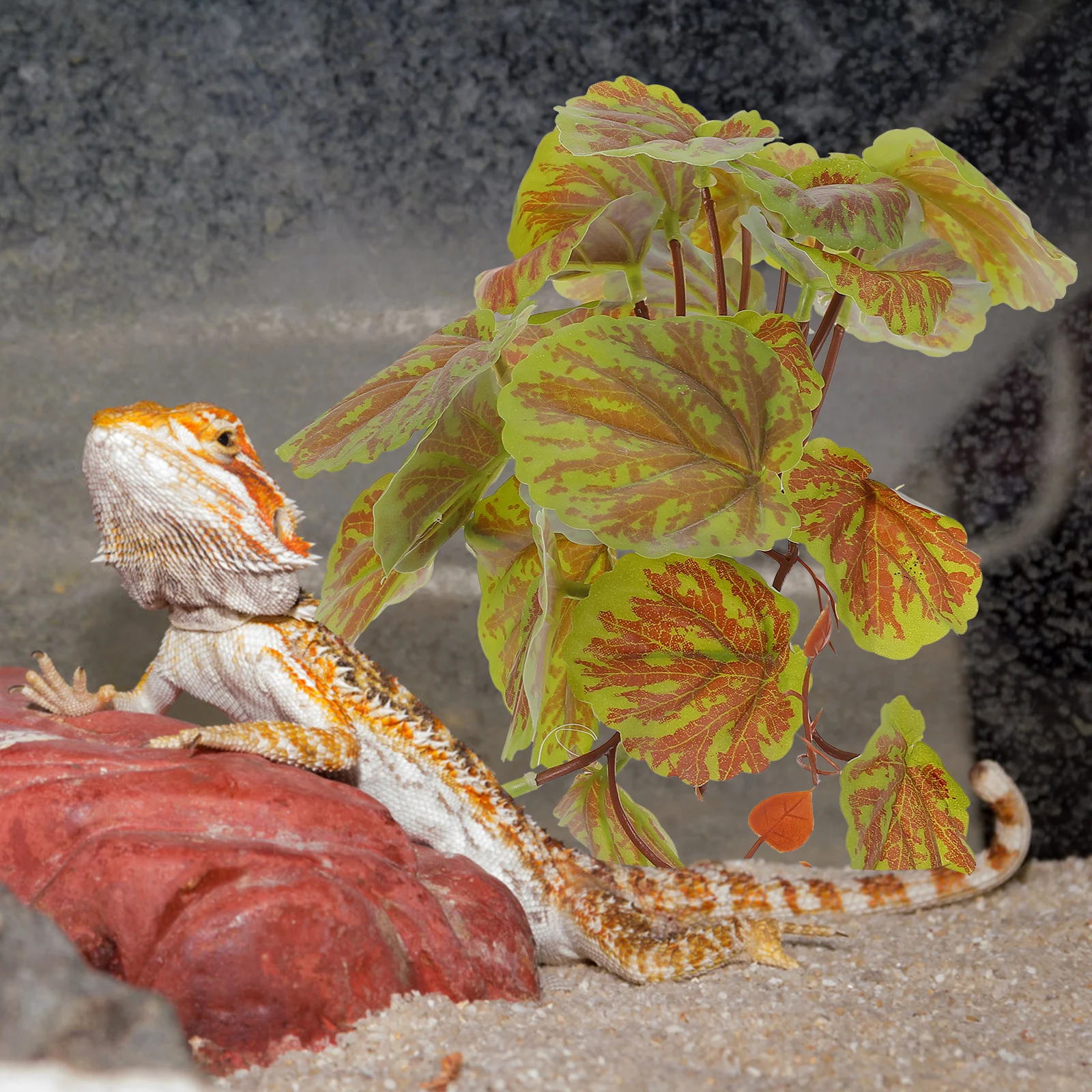 

Simulated Begonia Leaf Artificial Plant Simulation Decor Reptile Tank Aquarium Fake