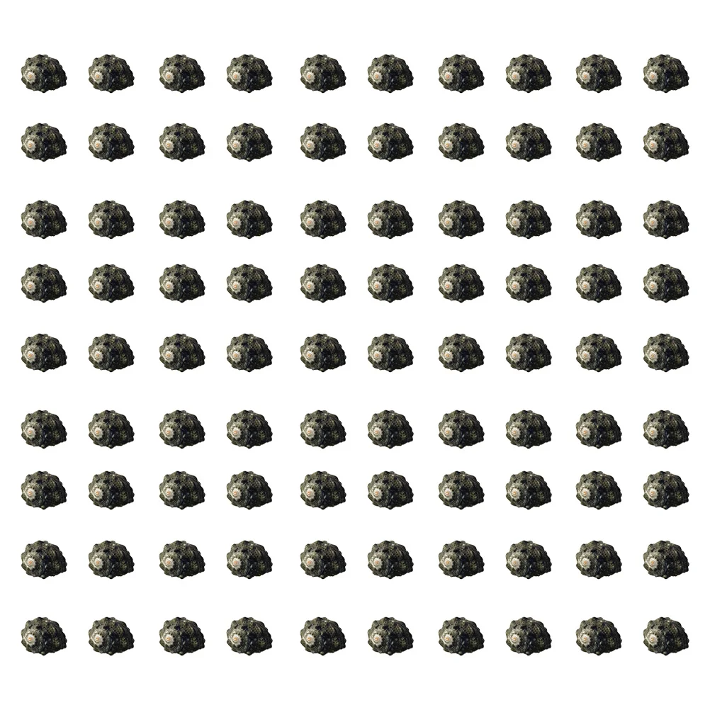 

100pcs Fish Tank Decor Spiral Conch Natural Landscaping Ornament For Aquarium Diy Micro Landscape Decor Supply Accessory