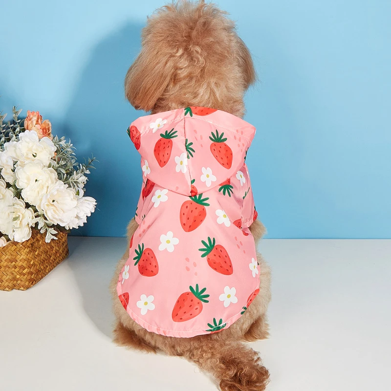 Cartoon Strawberry Pet Raincoat Fruit Strawberry Pattern Cat and Dog Universal Waterproof Comfortable Puppy Raincoat Dog Costume