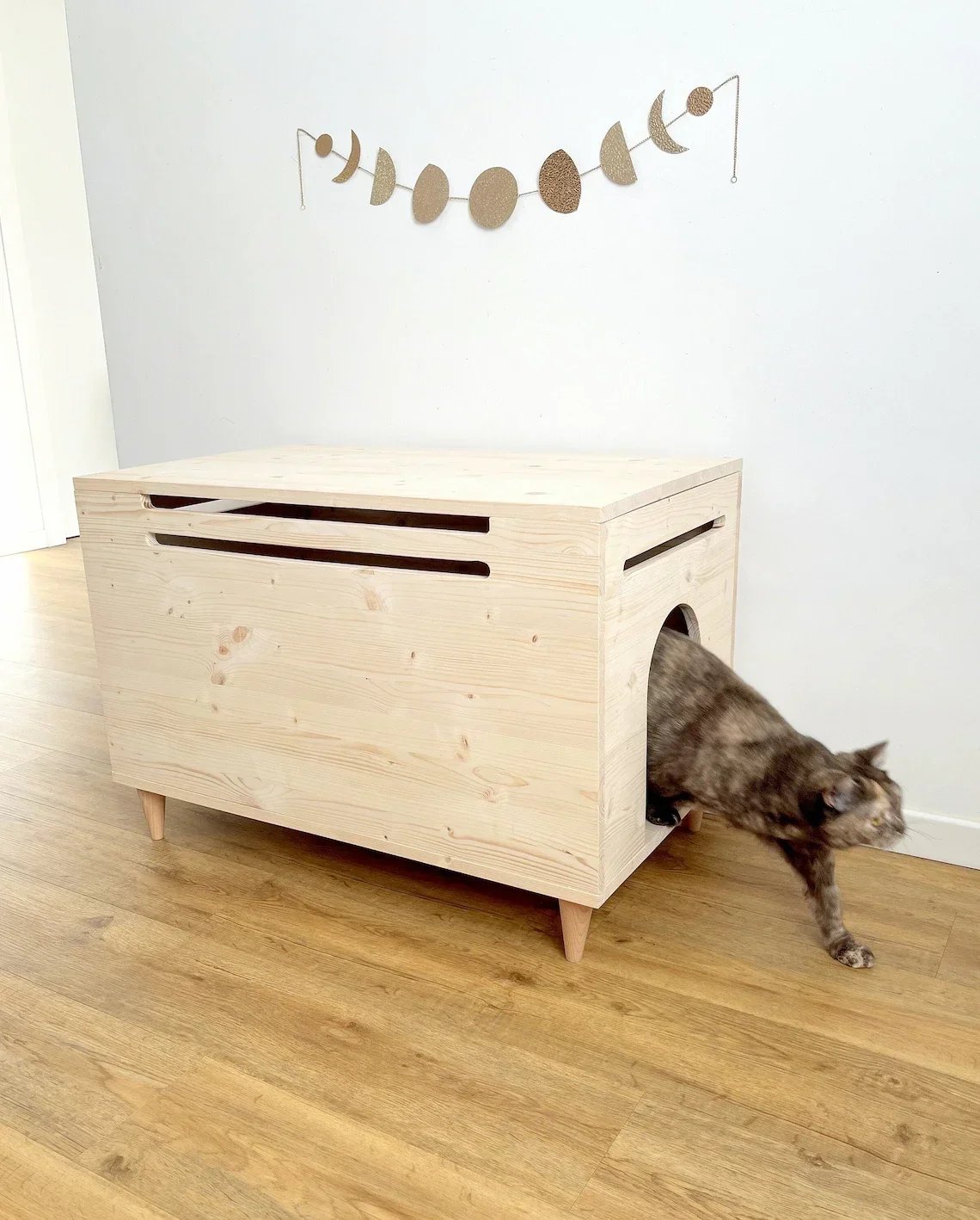 Modern Large Litter Box Cabinet with Top Opening and Side Entrance, Cat Litter Box Cover, Cat Furniture, Litter Box Enclosure