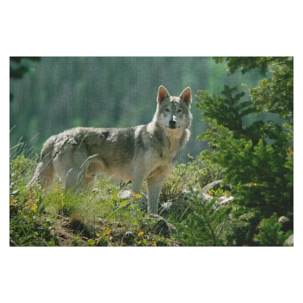 

The Gray Wolf Jigsaw Puzzle For Children Personalized For Kids Puzzle