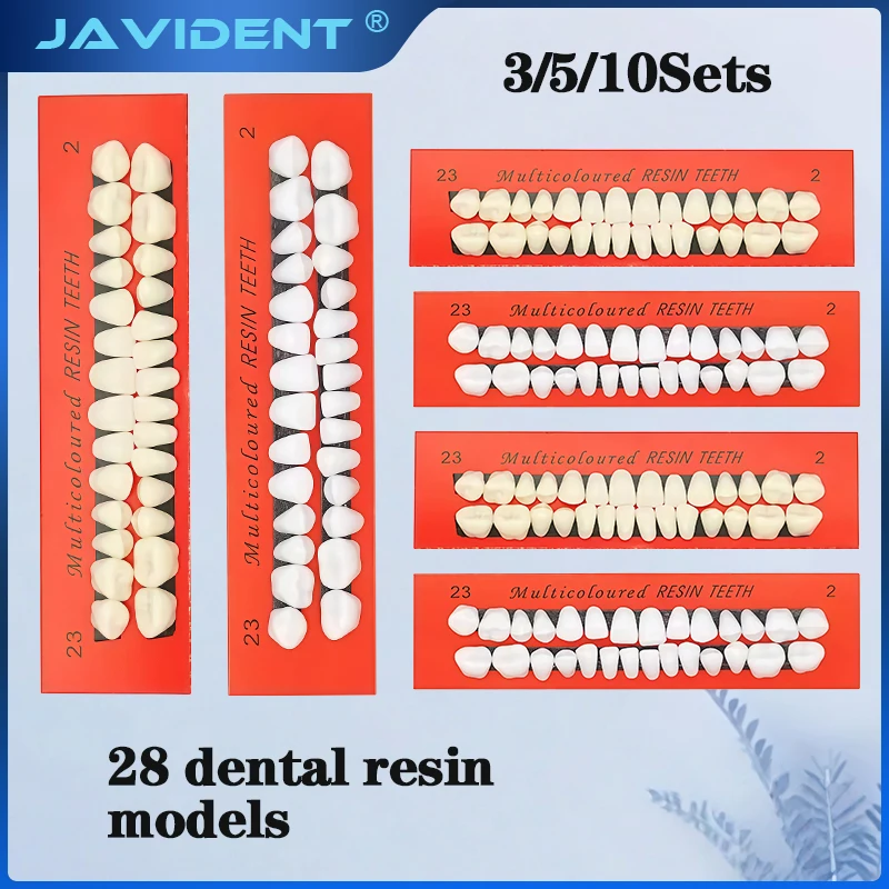 28 Teeth Resin Denture Teeth Comparator Mirror Dentistry Bleaching  Research On Dental Education Model False Educational