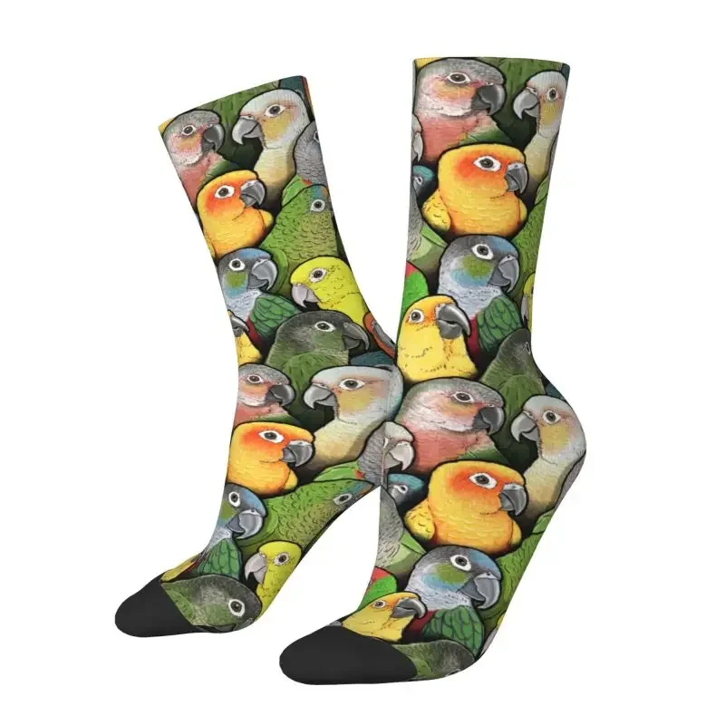 Y2K Colour Of Conure Birds Mens Crew Unisex Funny Cute Parrot Spring Summer Autumn Winter Dress Socks