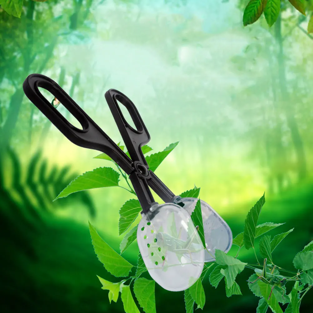 

1Set Reptile Feeding Tools Premium Material Lizard Gecko Cricket Clamp Scooper No Slide Overturn Spill Comfortable Mealtime