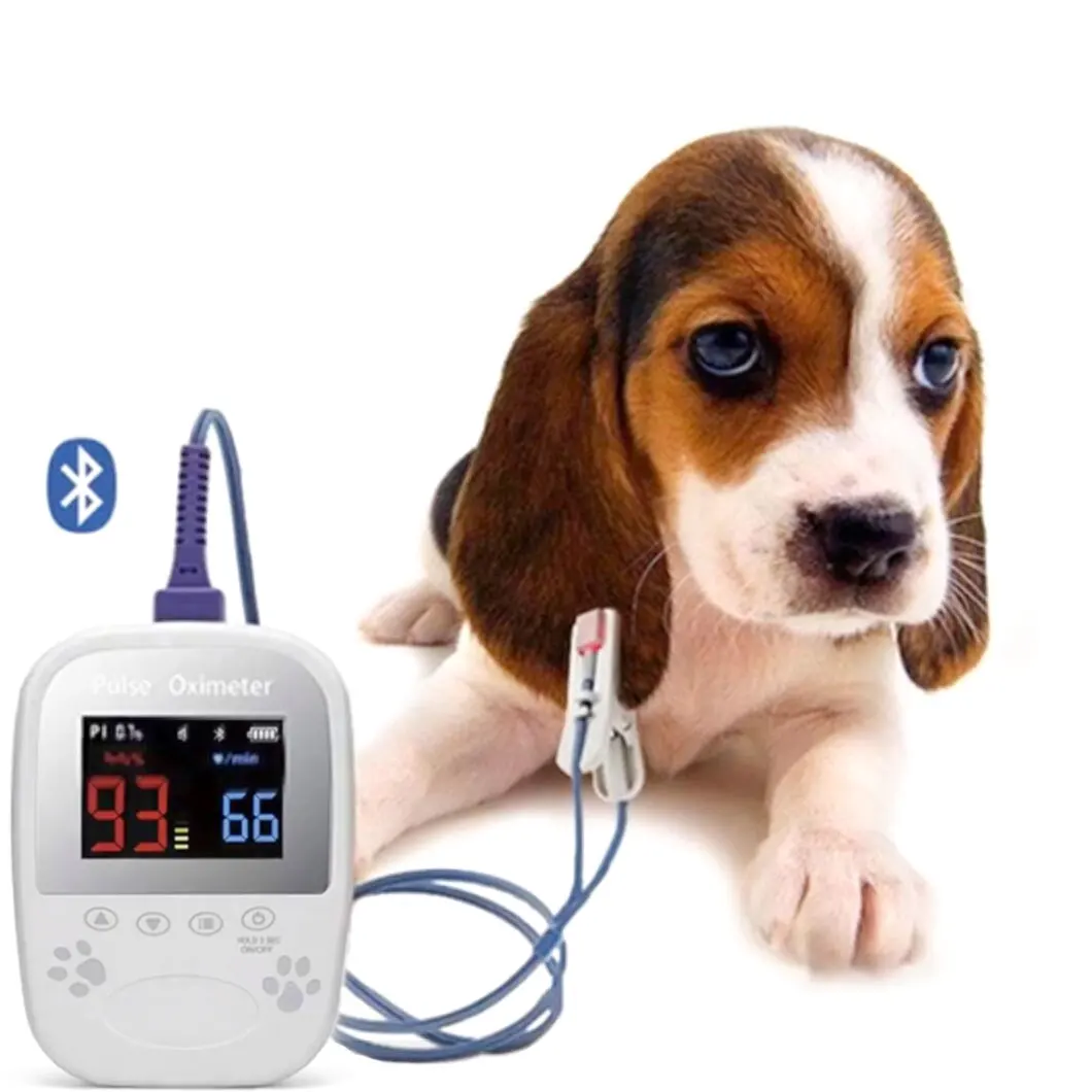 Veterinary Instrument Animal handheld Pulse Oximeter with High Precision SPO2