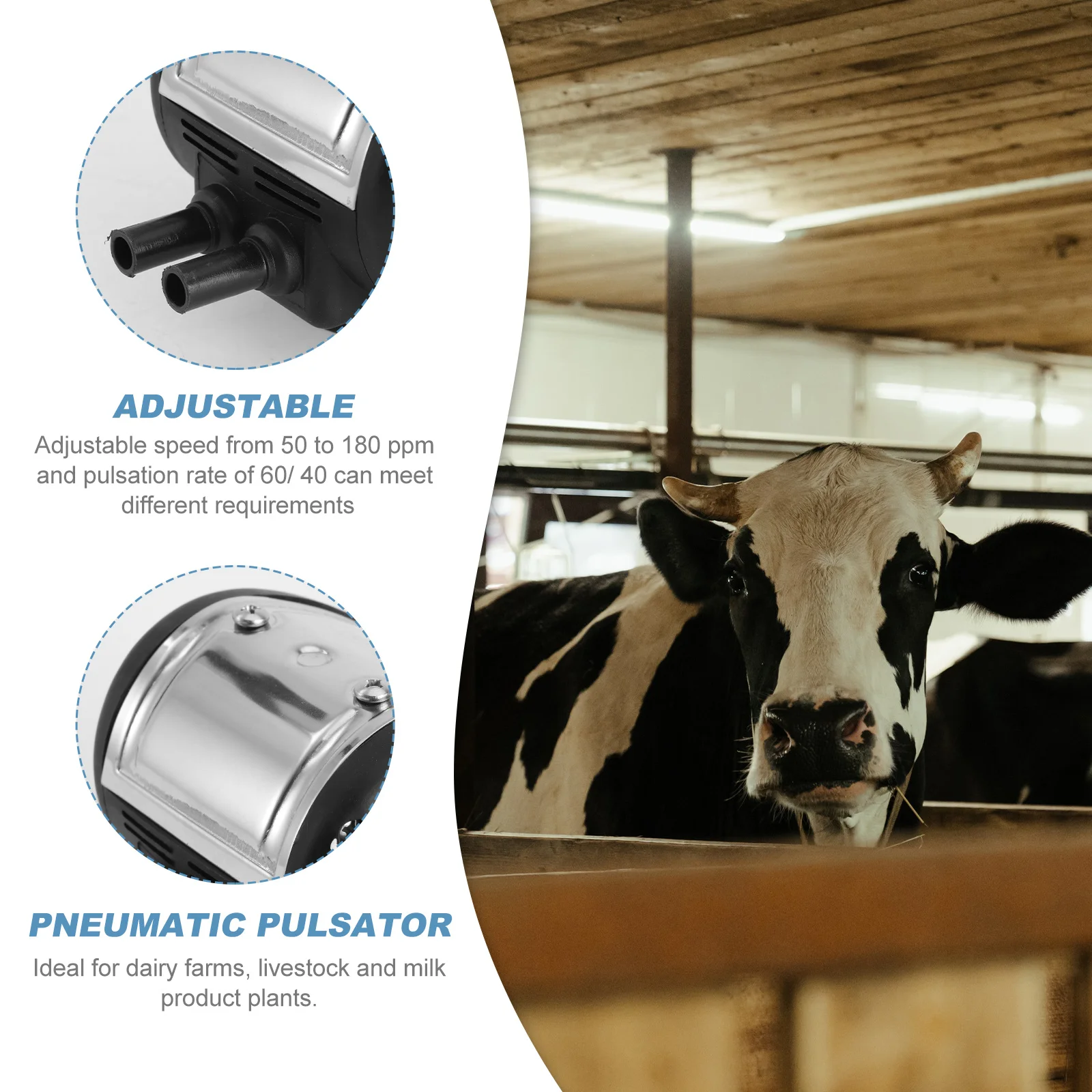 

Pneumatic Pulsator for Cow Milking Machine Adjustable 50 to 180 Ppm 60 40 Pulsation Rate Massage Milking Equipment
