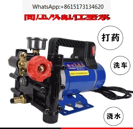 Agricultural Electric High Pressure Pump Spraying Watering Car Wash Irrigation Double Cylinder Piston 12V/24V/48V/60V/220V