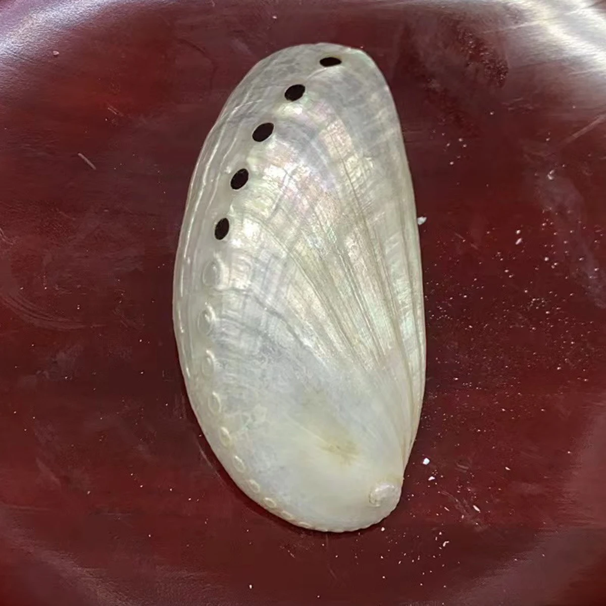 10pcs Natural Freshwater Shell Beads Pendant 40-64mm White Abalone Shell Charms for Jewelry Making DIY Necklace Earrings Supply - view 5