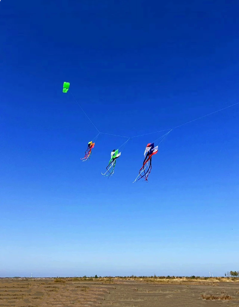 จัดส่งฟรี 400 ซม.Kite windsocks ของเล่นเป่าลม Professional ลม Kites หางพวงมาลัย Kite Electro Shocker paragliding สนุก