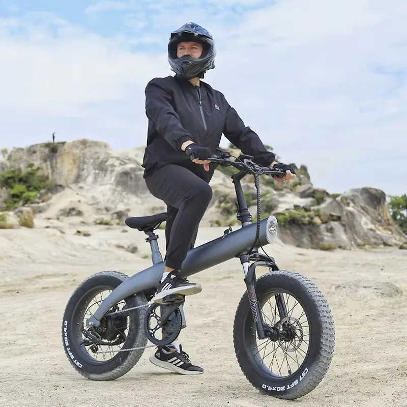 20 Inch Fat Tire All Terrain Adult Ebike Electrica 45 Km Big Tyre Charging Cycle Electric City Electrical Bikes